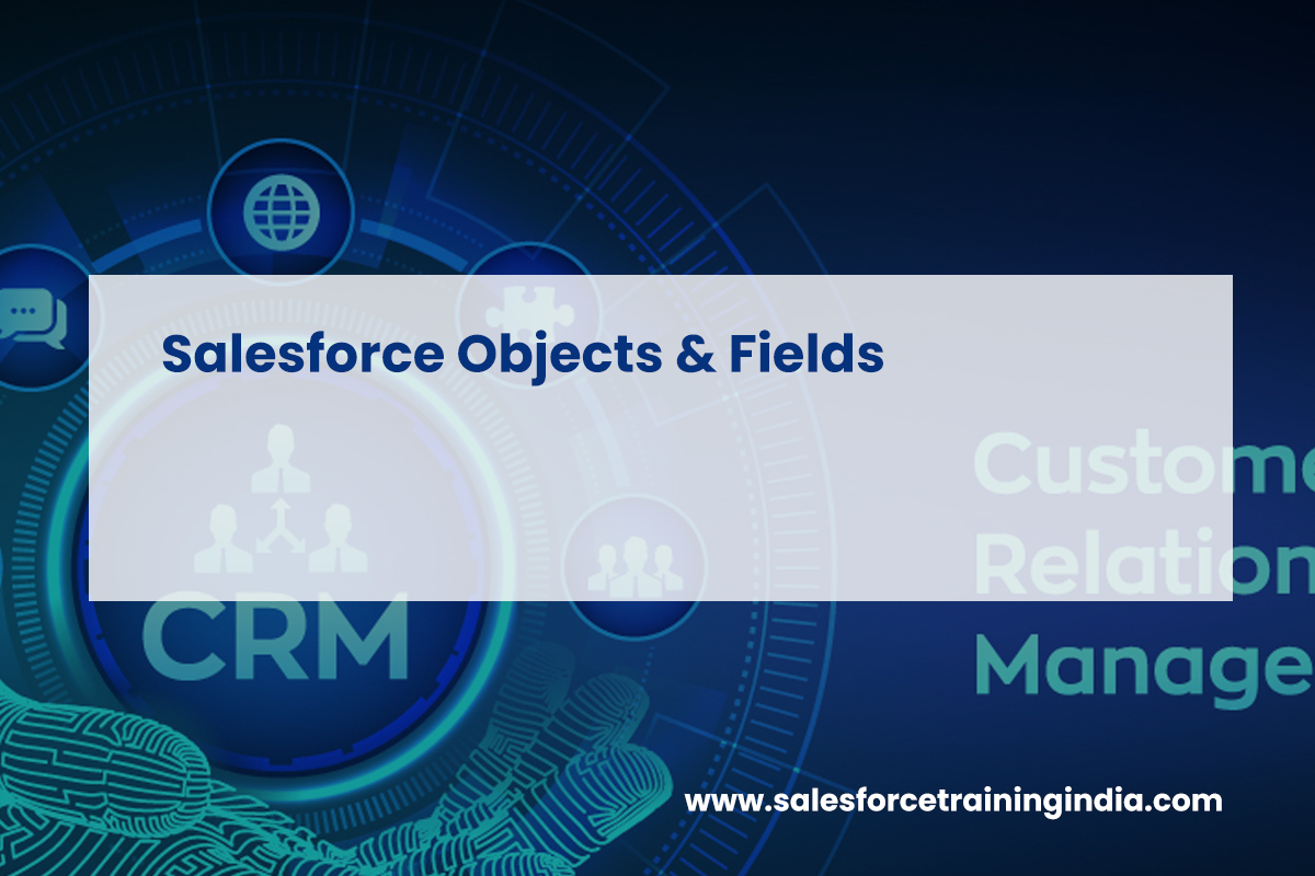 Salesforce Objects & Fields