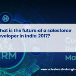 What is the future of a salesforce developer in India 2017?