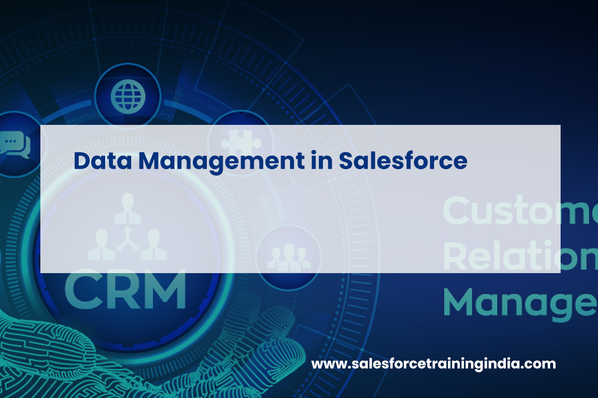Data Management in Salesforce