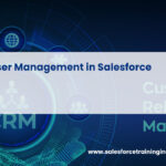 User Management in Salesforce