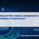 What are the 3 basic components of workflow in Salesforce?