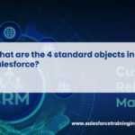 What are the 4 standard objects in Salesforce?