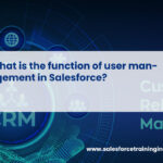 What is the function of user management in Salesforce?