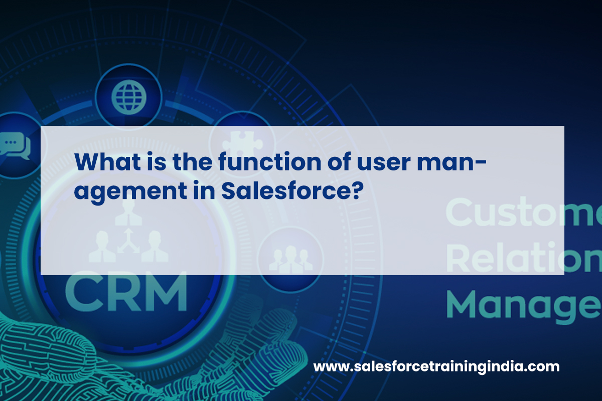 What is the function of user management in Salesforce?