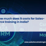 How much does it costs for Salesforce training in India?