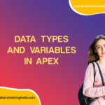 Data Types and Variables in Apex