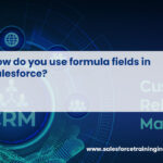 How do you use formula fields in Salesforce?