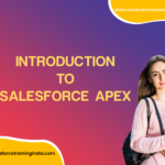 Introduction to Salesforce Apex