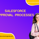 Salesforce Approval Processes