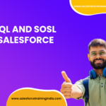 SOQL and SOSL in Salesforce