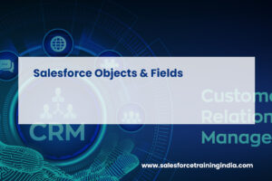 Salesforce Objects & Fields