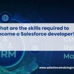 What are the skills required to become a Salesforce developer