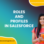 Roles and Profiles in Salesforce