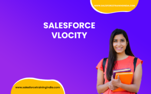 Understanding Salesforce Vlocity